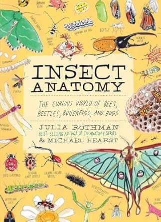 insect anatomy the curious world of bees beetles butterflies and bugs 1st edition julia rothman ,michael