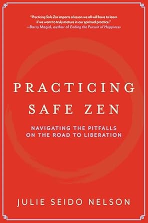 practicing safe zen navigating the pitfalls on the road to liberation 1st edition julie seido nelson