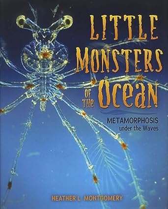 little monsters of the ocean metamorphosis under the waves 1st edition heather l montgomery 1541528980,