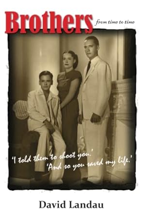 brothers from time to time i asked them to shoot you and so you saved my life 1st edition david landau
