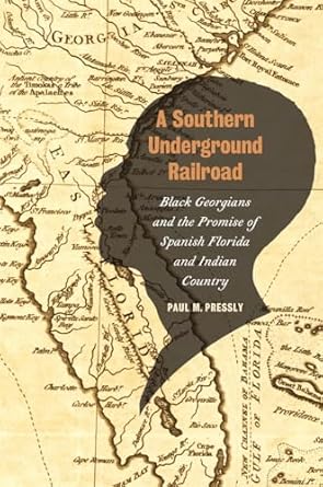 a southern underground railroad black georgians and the promise of spanish florida and indian country 1st
