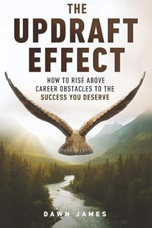 the updraft effect how to rise above career obstacles to the success you deserve 1st edition dawn james