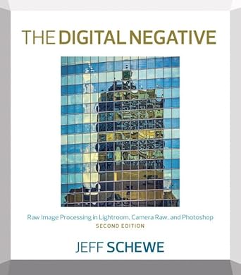 the digital negative raw image processing in lightroom camera raw and photoshop 1st edition jeff schewe