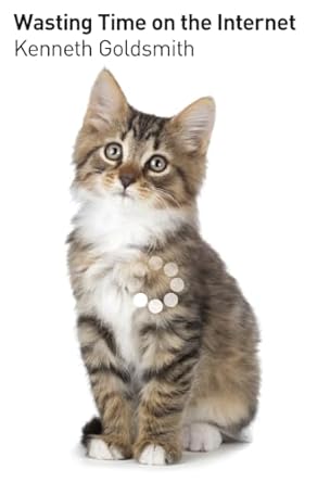 wasting time on the internet 1st edition kenneth goldsmith 0062416472, 978-0062416476