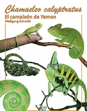 chamaeleo calyptratus el camaleon de yemen 1st edition wolfgang schmidt 3866590377, 978-3866590373