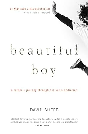 beautiful boy a fathers journey through his sons addiction 1st edition david sheff 0547203888, 978-0547203881