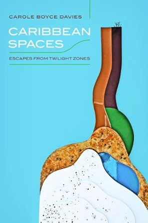 caribbean spaces escapes from twilight zone 1st edition carole boyce davies 0252079531, 978-0252079535