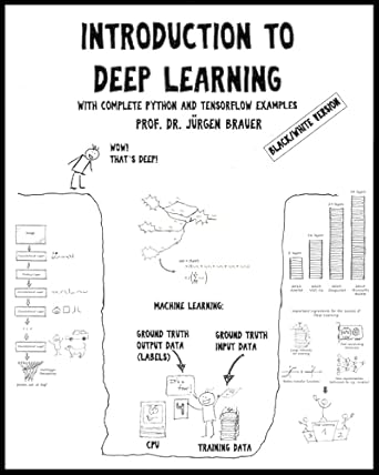 introduction to deep learning with complete python and tensorflow examples 1st edition prof dr juergen brauer
