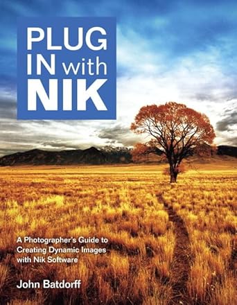 plug in with nik software a photographers guide to creating dynamic images with nik software 1st edition john