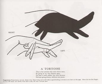 shadowgraphs 1st edition webb/corby 1561380148, 978-1561380145