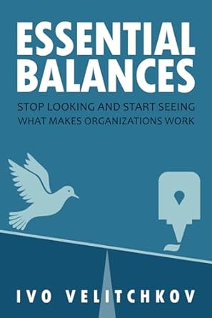 essential balances stop looking and start seeing what makes organizations work 1st edition ivo velitchkov