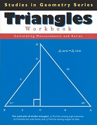 triangles workbook 1st edition tammy pelli leonard 1930820445, 978-1930820449