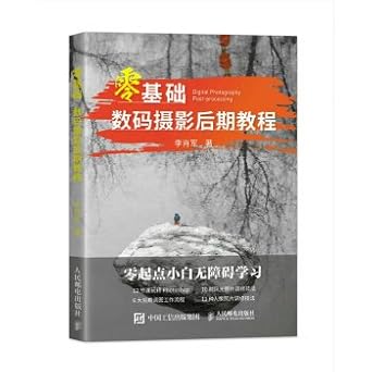late zero based digital photography tutorial 1st edition  711542683x, 978-7115426833