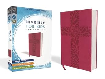 niv bible for kids large print leathersoft pink red letter comfort print 1st edition zondervan 0310764130,