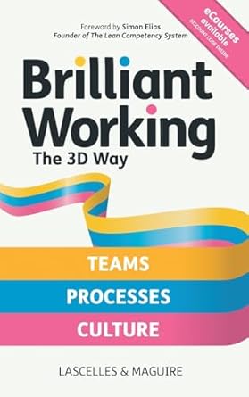 brilliant working the 3d way continuous improvement for working teams processes and culture 1st edition james