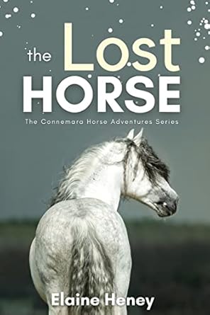 the lost horse book 6 in the connemara horse adventure series for kids the perfect gift for children age 8 12