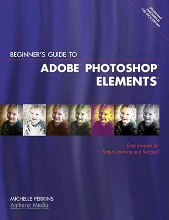 beginners guide to adobe photoshop elements 1st edition michelle perkins 1584281383, 978-1584281382