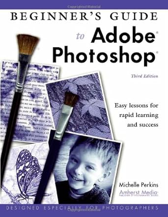 beginners guide to adobe photoshop 1st edition michelle perkins 1584281871, 978-1584281870