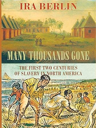 many thousands gone the first two centuries of slavery in north america 1st edition ira berlin 0674002113,