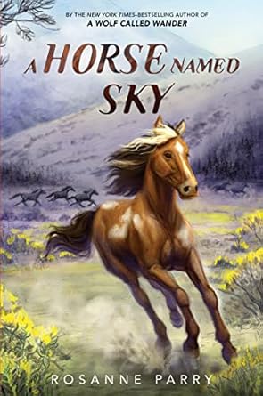 a horse named sky a realistic historical fiction about the pony express 1st edition rosanne parry ,kirbi
