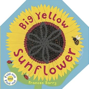 big yellow sunflower 1st edition frances barry 0763637246, 978-0763637248