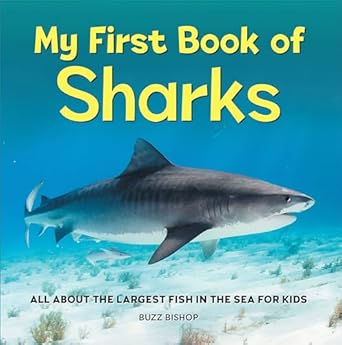 my first book of sharks all about the largest fish in the sea for kids 1st edition buzz bishop 1685394531,