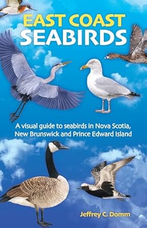 east coast seabirds   a visual guide to seabirds in nova scotia  brunswick and prince edward island 1st