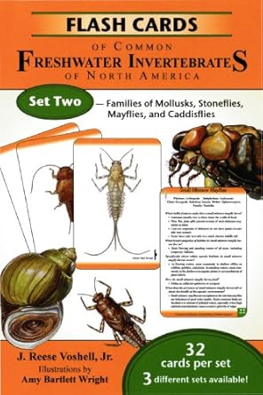 flash cards of common freshwater invertebrates of north america set two families of mollusks stoneflies