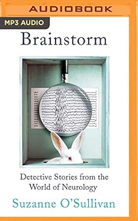 brainstorm 1st edition suzanne o'sullivan ,christine williams 1978638655, 978-1978638655