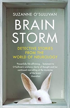 brainstorm 1st edition suzanne o'sullivan 1784704997, 978-1784704995