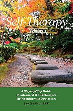 self therapy vol 2 a step by step guide to advanced ifs techniques for working with protectors 1st edition