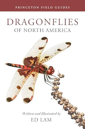dragonflies of north america 1st edition ed lam 0691232873, 978-0691232874