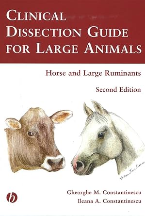 clinical dissection guide for large animals horse and large ruminants 1st edition gheorghe m constantinescu