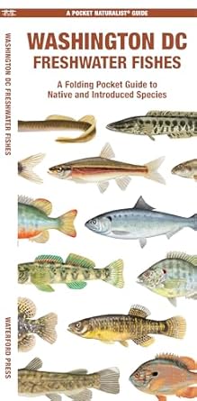 washington dc freshwater fishes a folding guide to native and introduced species 1st edition matthew morris