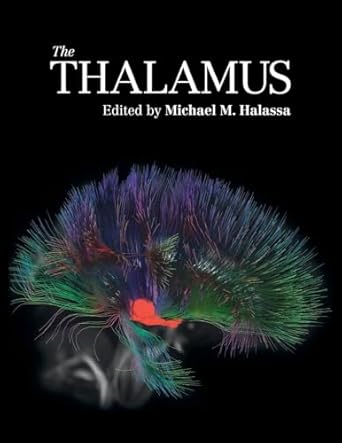 the thalamus 1st edition michael m halassa 1108722938, 978-1108722933