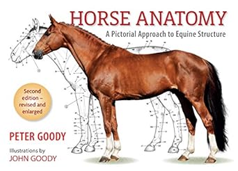 horse anatomy a pictorial approach to equine structure 1st edition peter goody 0851317693, 978-0851317694