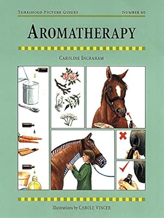 aromatherapy 1st edition caroline ingraham ,carole vincer 187208298x, 978-1872082981