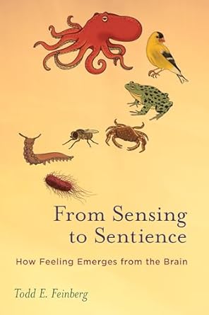 from sensing to sentience how feeling emerges from the brain 1st edition todd e feinberg 0262550954,