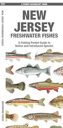 new jersey freshwater fishes a waterproof folding guide to native and introduced species 1st edition matthew