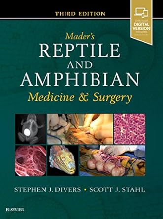 maders reptile and amphibian medicine and surgery 1st edition stephen j divers bvetmed dzoomed deczm daczm