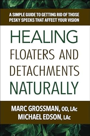 healing floaters and detachments naturally a simple guide to getting rid of those pesky specks that affect
