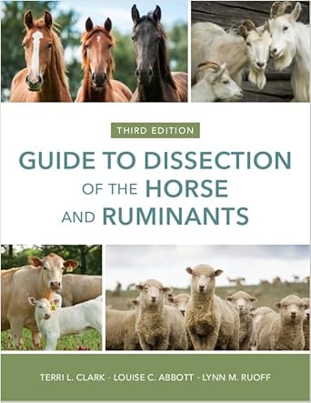 guide to dissection of the horse and ruminants 1st edition lynn m ruoff terri l clark, louise c abbott