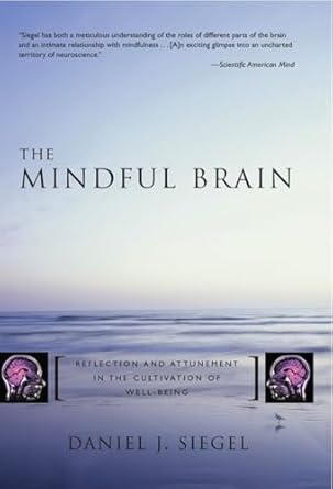 the mindful brain reflection and attunement in the cultivation of well being 1st edition daniel j siegel m d