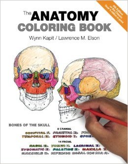 the anatomy coloring book rebound version / edition wynn kapit ,lawrence m elson 1635616549, 978-1635616545