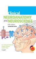 clinical neuroanatomy and neuroscience 5/e ie 1st edition fitzgerald 0808923765, 978-0808923763