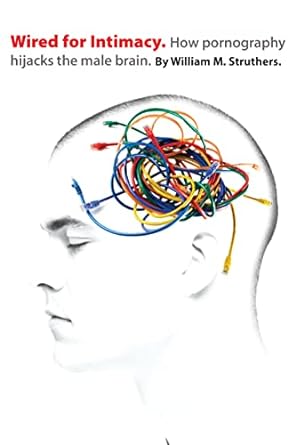 wired for intimacy how pornography hijacks the male brain 1st edition william m struthers 0830837000,
