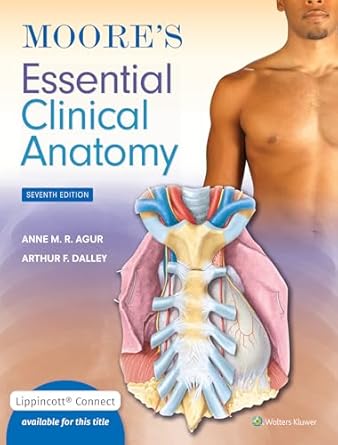 moores essential clinical anatomy 7th edition anne m r agur bsc msc phd faaa ,arthur f dalley ii phd faaa