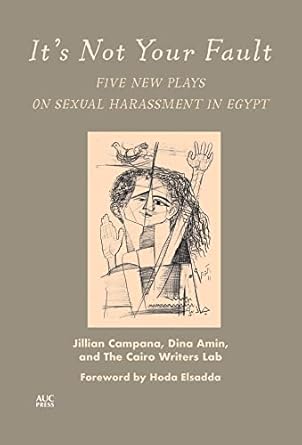 its not your fault five new plays on sexual harassment in egypt 1st edition jillian campana ,dina amin ,the