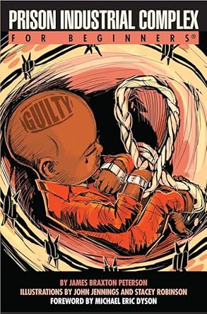 prison industrial complex for beginners 1st edition james braxton peterson ,john jennings ,stacey robinson
