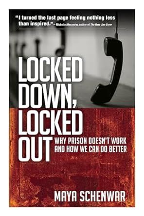 locked down locked out why prison doesnt work and how we can do better 1st edition maya schenwar 1626562695,